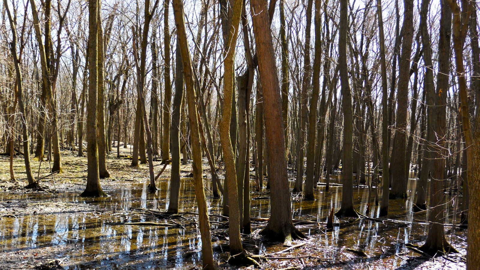 image5